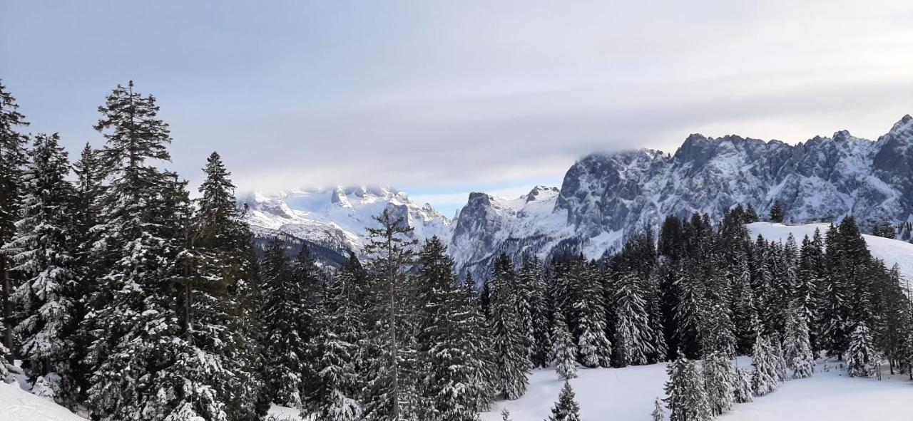 오베르트라운 Dachstein Adventure 아파트 외부 사진